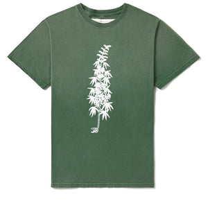 One Of These Days More Peace, More Freedom Tee - Washed Green