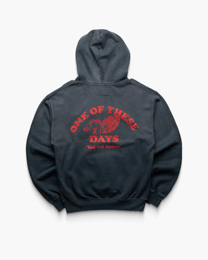 One Of These Days Good Luck Mustangs Hoody - Sun Faded Black