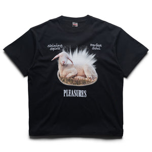 Pleasures Shine Tee - Black