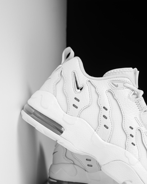 Nike Air DT Max '96 Low - White/Metallic Silver
