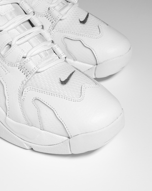 Nike Air DT Max '96 Low - White/Metallic Silver