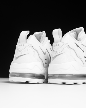 Nike Air DT Max '96 Low - White/Metallic Silver