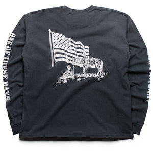 One Of These Days American Flag L/S Tee - Washed Black